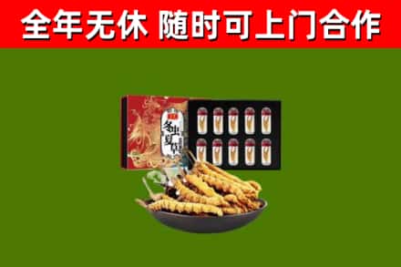呼图壁县回收冬虫夏草价格
